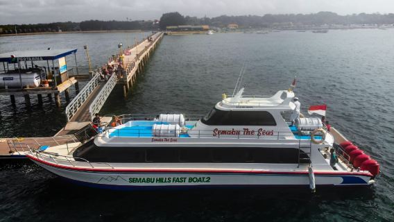 Индонезия, Бали, Нуса Пенида, билет на корабль/лодку/катер, индивидуальный трансфер/аренда автомобиля с водителем, скоростной катер/моторная лодка, в одну сторону/в один конец, туда и обратно/в обе стороны, Нуса Пенида