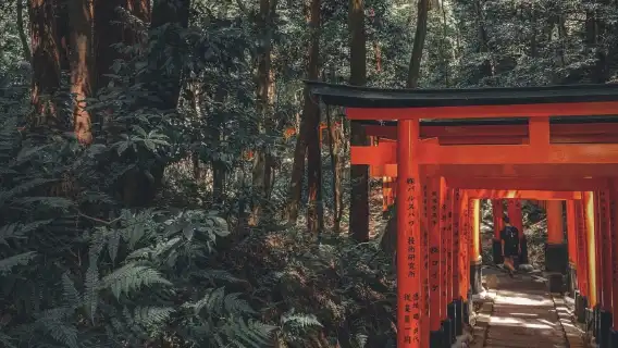諮詢後下單/日本京都塔鹿苑寺二條城平安神宮花見小路鴨川嵐山清水寺機場/點對點用車/旅遊旅行司導/專車服務