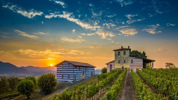 Milan: Franciacorta Winery and Bergamo Day Trip with Lunch