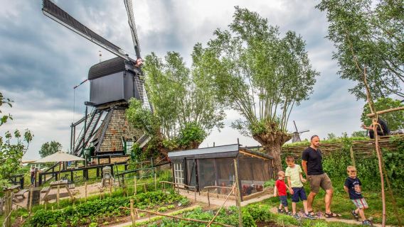 Rotterdam: Eintrittskarte zum UNESCO-Weltkulturerbe Kinderdijk