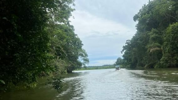 Panama City: Old Town and Monkey Island