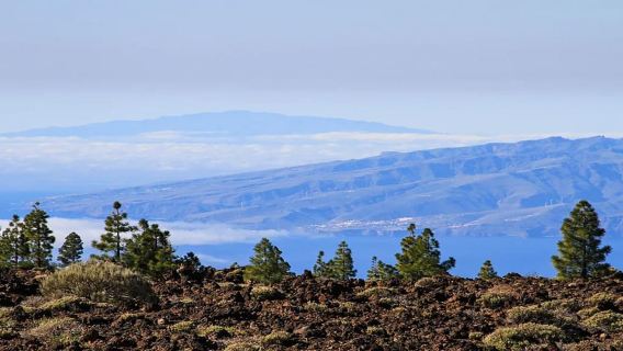 Ab Süd-Teneriffa: Halbtagestour zum Teide