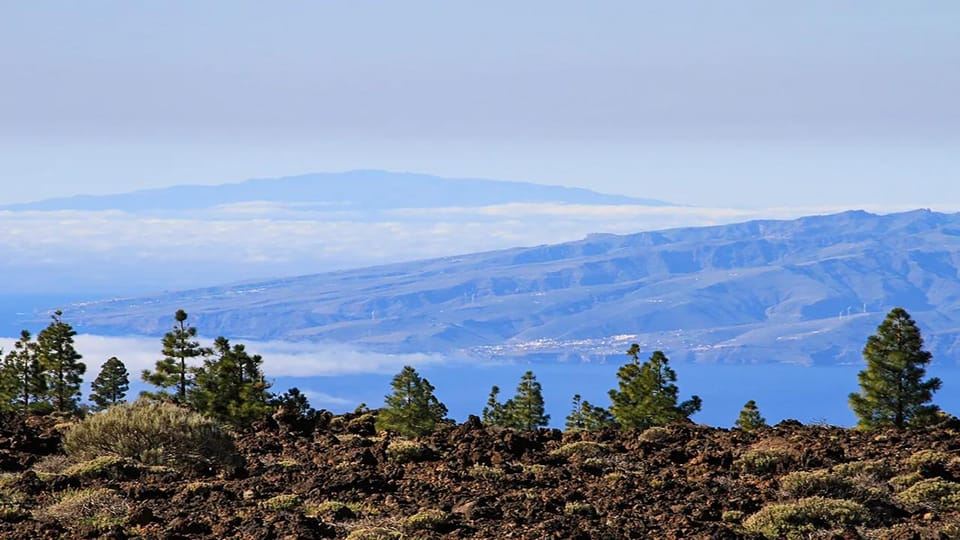從特內裡費島南部出發：泰德峰半日遊