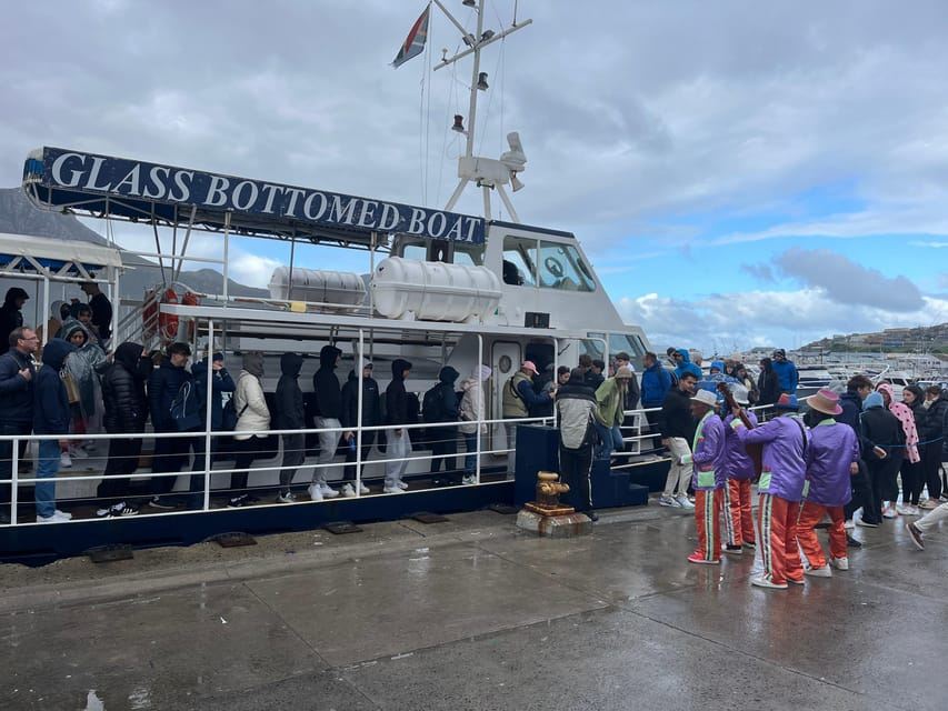 Visita guidata privata al Capo di Buona Speranza e alla colonia di pinguini