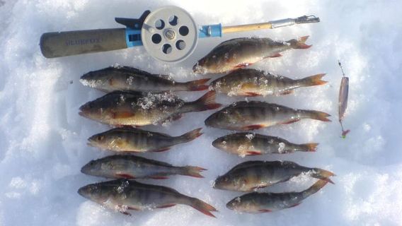 Memancing Ais dengan Berjalan di Tasik Ylläsjärvi