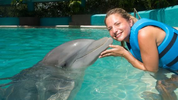Cancún: Acuario Interactivo - Nado con Delfines Splash