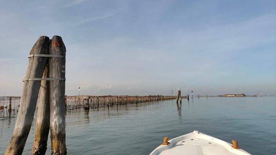 Tur ke Pellestrina dengan perahu laguna khas dari Chioggia