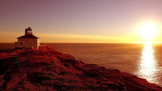 St. John's NL: Cape Spear & City Tour with Local Guide