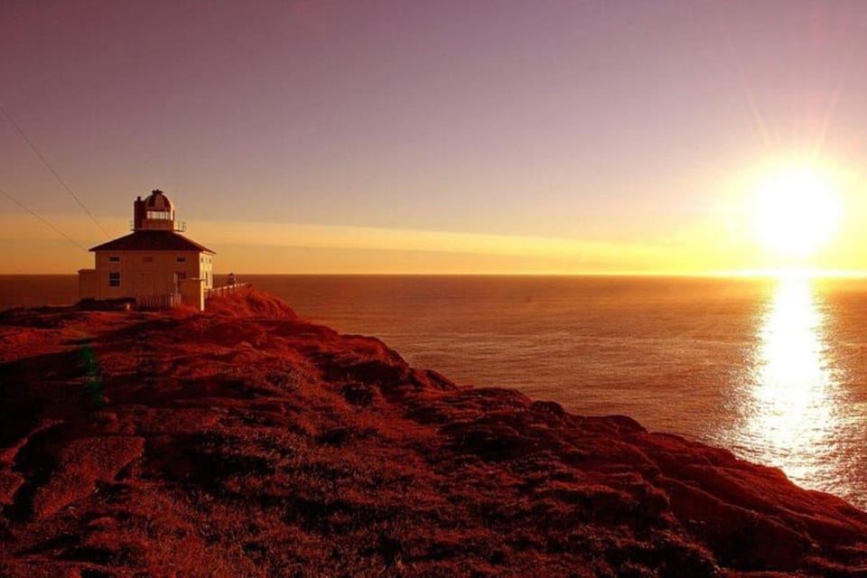 St. John's NL: Cape Spear & City Tour with Local Guide