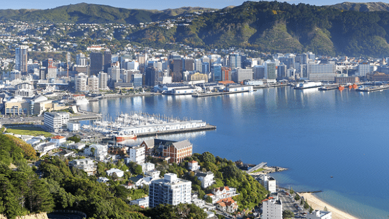 Wellington: Highlights Tour with a Local Guide