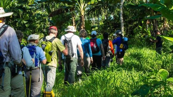 Puerto Maldonado: Jungle trekking + Sandoval Lake