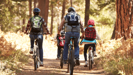 Экскурсия на велосипеде с гидом по национальному парку Пенеда-Жереш