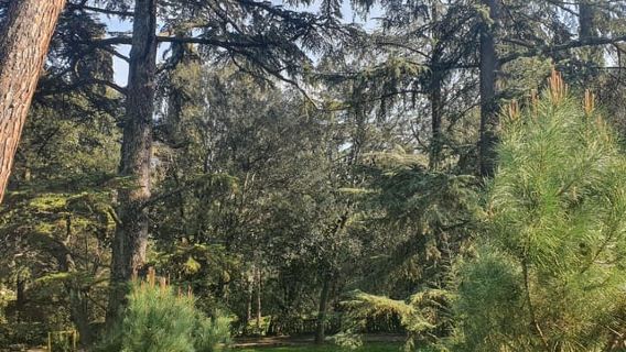 Florencia: Visita guiada a pie por los parques escondidos con picnic