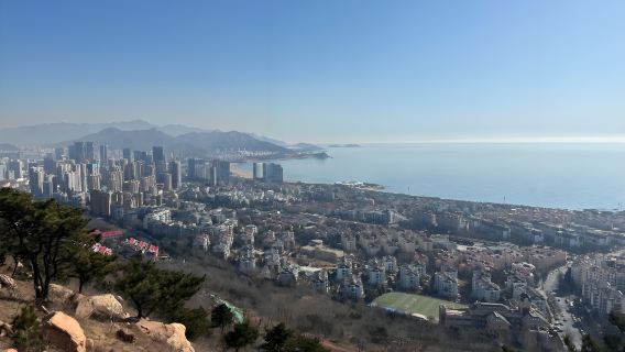Visite privée d'une journée du parc forestier de Fushan à Qingdao, du parc de sculptures et de la plage de Shilaoren
