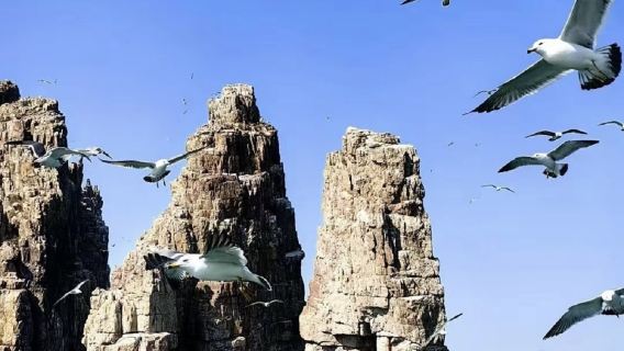 Penglai, Shandong: Tour privato per l'isola di Changdao