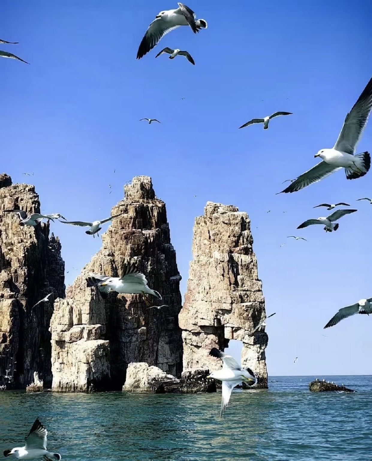 Penglai, Shandong: Tour privato per l'isola di Changdao