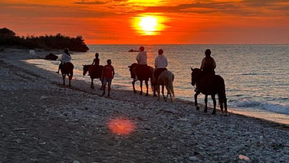 Rhodes: Sunset Horseback Riding Experience by the Sea