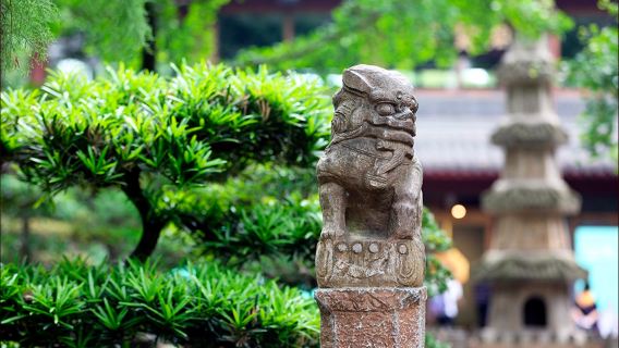 Wuhou Temple Museum Half Day Tour [Professional Guide|Multilingual| Private tour Independent group