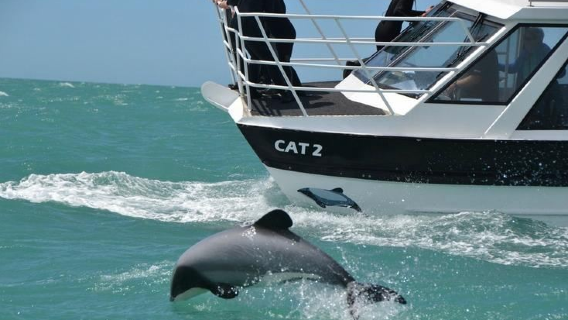 隱藏在大洋洲的法國風情&紐西蘭基督城阿卡羅阿