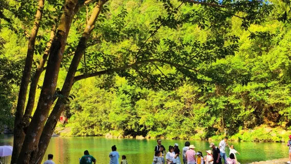 Tagesausflug mit Privattransfer zur Erkundung des Guniujiang-Waldes und der Penglai-Höhle in Chizhou, Anhui, mit chinesischem und englischem Service