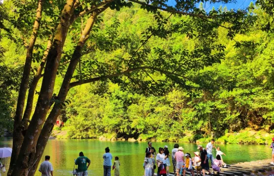 安徽池州牯牛降森林+蓬萊仙洞探秘包車一日遊 可中英文服務