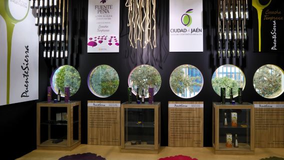 El Viaje del Aceite: Experiencia Única en una Almazara