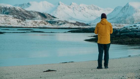 Arktische Fjordreise mit malerischem Picknick ab Tromsø