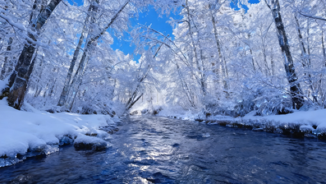 Changbai Mountains Rime Drifting + Exciting Skiing + Snowmobile Classic 1-day Tour (Star Service)