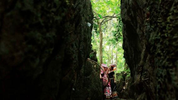 Nanning Dragon&Tiger Mountains + Yongzhou Ancient Town + Nanning Nanhu Park + Tingzi Wharf Private Charter 1-day Tour with English Service