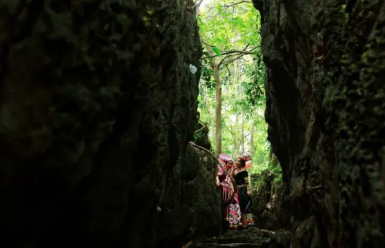廣西龍虎山風景區+邕州古城+南湖公園+亭子碼頭包車一日遊中英文服務