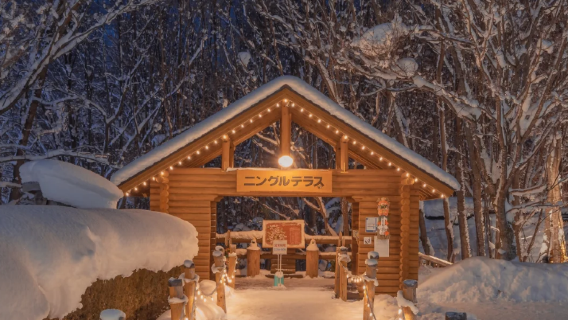 Хоккайдо, Асахикава: дневной тур в зоопарк Асахияма на автобусе (до 9 человек) с возможностью трансфера из отеля и подарочным билетом