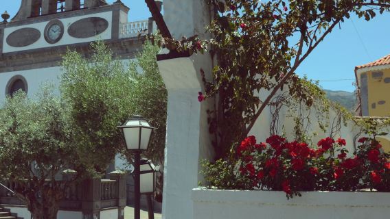 Gran Canaria: tour guidato di un giorno + trasferimenti + pranzo