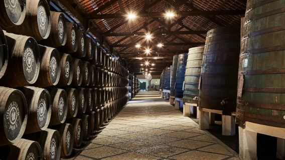 Cockburn's Cellars: visita guidata + degustazione di vini