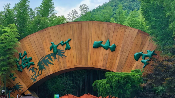 南山竹海門票+單火+雙地軌+車接車送+導遊講解【10人小團】