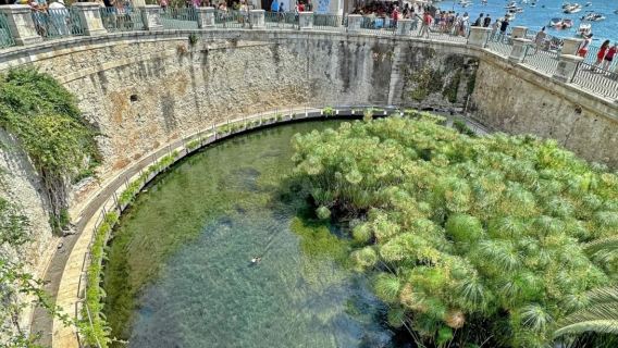 Italy Catania-Syracuse-Noto-Sicily-Private Charter-Selected