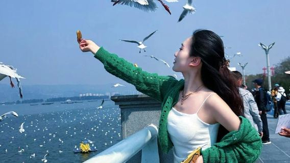 [Esperienza pura e premium] Tour di un giorno a Shilin + Jiuxiang | Opzionale piccolo gruppo di 15 persone con noleggio con conducente esclusivo e trasferimento porta a porta