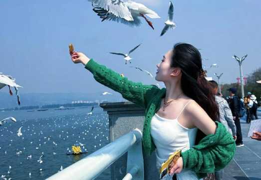 Xishuangbanna Pu'er One-on-one Guided Tour with Personal Guide • Custom Private Tour [Full-time Guide • Local Guide]|Optional Chinese/English (3...