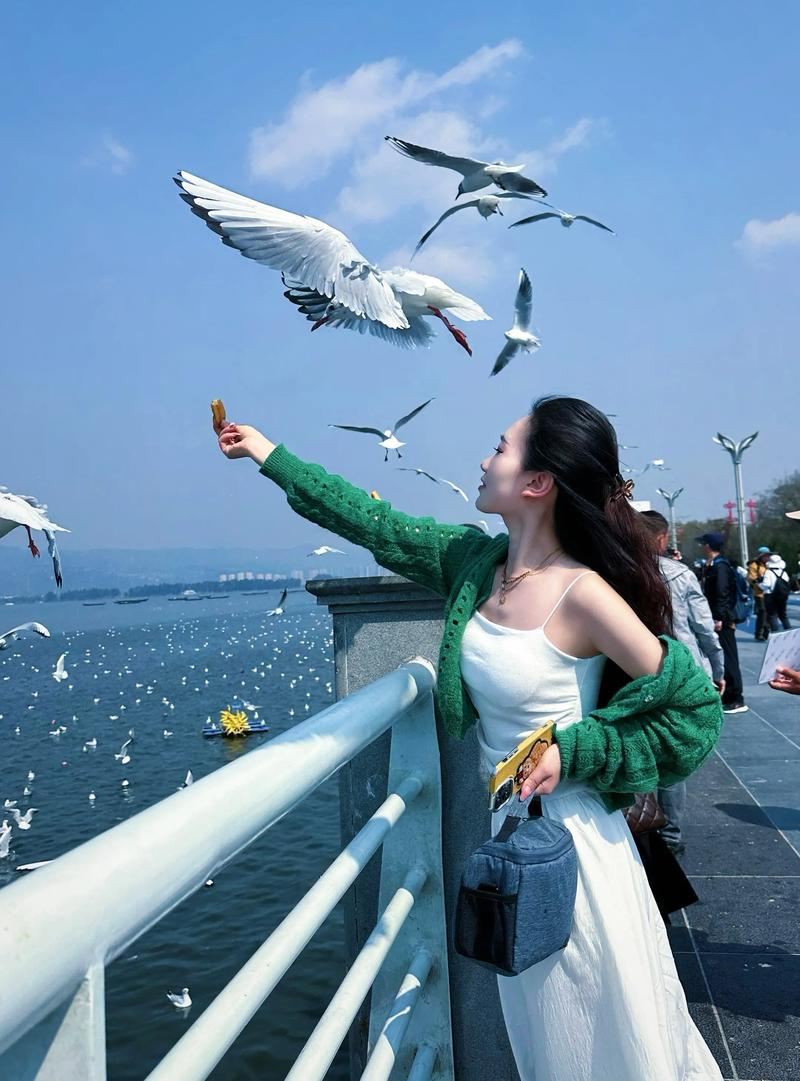 【プレミアム純粋観光】石林+九郷ワンデーツアー|15人少人数グループオプション 貸切チャーターでホテル送迎付き