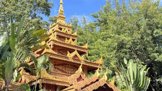 City Light Hiking: Explore Buddhist Temples, Royal Gardens & Rainforest Peacock Release in One Day