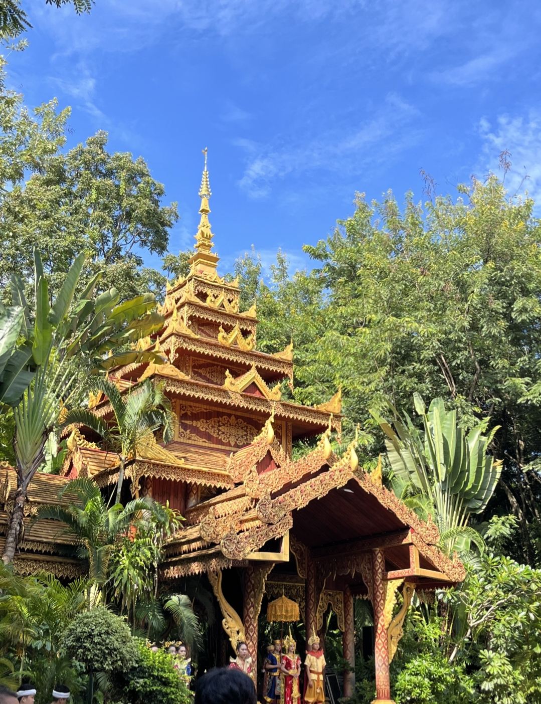 City Light Hiking: Explore Buddhist Temples & Rainforest Peacock Release in One Day