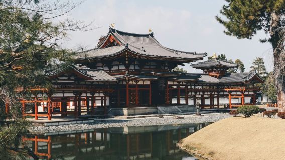 Uji Nara Matcha Hot Spring and Adorable Deer Day Tour (4-9 People Premium Small Group)