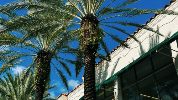 Excursion d'une journée aux attractions célèbres de Miami aux États-Unis [Service de transfert & itinéraire modifiable]