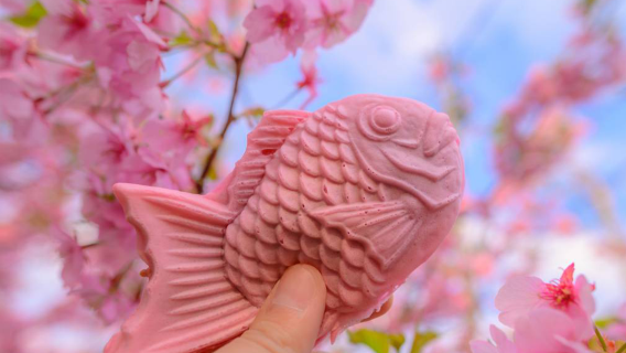 Tokyo & Izu Kawazu Cherry Blossom 1-day Tour for 9 People | Includes Scenic Train Ride + Optional Hotel Pickup + Chinese Service