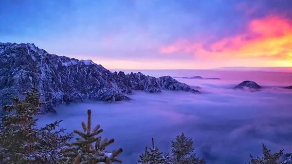 (純玩團)西夏陵+賀蘭山森林公園一日遊(探秘西夏/峽谷森林)