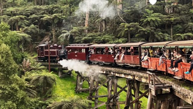 【春節空席あり】メルボルンパッフィンビリー鉄道+リトルペンギンフィリップ島ワンデーツアー
