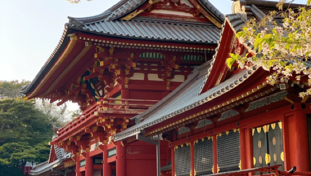 包車巡禮鎌倉江之島｜灌籃高手平交道+江之電體驗+鎌倉大佛