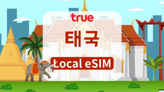 태국 TRUEMOVE 5G eSIM | 총 데이터량 15GB/35GB/50GB/100GB | 7일/10일 | 전화번호 포함 | 24시간제 | QR 코드