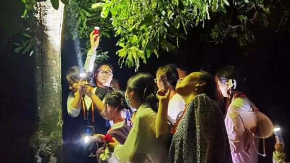 中科院西雙版納熱帶植物園夜遊講解丨螢火蟲觀賞季丨資深講解員科普