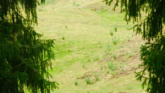1-day tour to Sayram Lake by car