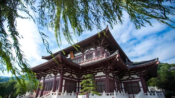 Xi'an Shaanxi Historiske Museum + Huaqing Palads dagstur (inklusive reservation til museet, selvstyret besøg)